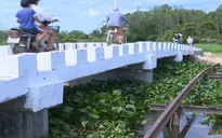 Phú Yên hoàn thành nhiều cây cầu vượt lũ trước năm học mới