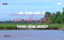 Mô hình Hợp tác xã kiểu mới khẳng định vị thế của kinh tế tập thể