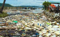 Rác "ngập tràn" tại vịnh Xuân Đài, Phú Yên
