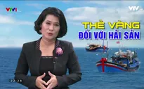 Thẻ vàng từ EC và những hệ lụy với ngành xuất khẩu hải sản Việt Nam
