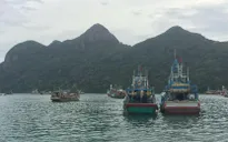 Côn Đảo kiên quyết vận động người dân lên bờ
