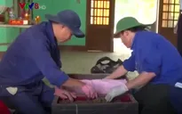 Phát hiện nhiều hài cốt liệt sỹ tại hố chôn tập thể ở Quảng Trị