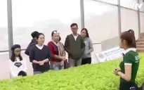 Độc đáo du lịch vườn rau Đà Lạt dịp Tết