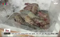 Những con tôm đã được "vỗ béo" bằng cách ghê rợn như thế này trước khi lên bàn tiệc