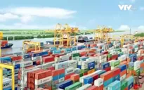 Doanh nghiệp kỳ vọng về hợp tác Hoa Kỳ - Việt Nam