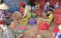 TP.HCM đưa chợ đầu mối thành điểm du lịch