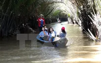 Khách du lịch đến Bình Định tăng mạnh dịp Tết