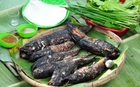 Cá lóc nướng trui - món ăn dân dã của người miền Tây