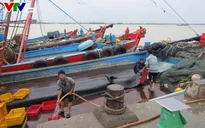 Bất chấp lệnh cấm ngư dân Hà Tĩnh vẫn ra khơi đánh bắt