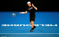 Kết quả bốc thăm phân nhánh Australia mở rộng 2017: Federer, Nadal, Murray chung nhánh