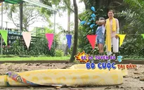 Cháu ơi, cháu à: Con gái Cẩm Ly khóc thét khi làm nhiệm vụ với trăn