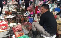 Khuyến cáo tăng cường phòng chống dịch cúm gia cầm