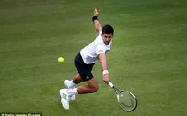 Wimbledon 2017: Djokovic được giải thoát vì không phải là hạt giống số 1