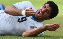 Suarez day dứt vì nói dối vợ con sau màn "ngoạm" đồng nghiệp tại World Cup 2014