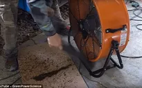Dùng chó cưng làm mồi và 2 chiếc quạt, tiêu diệt 4.000 con muỗi mỗi đêm