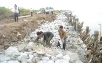 Cà Mau đẩy nhanh tiến độ khắc phục sạt lở đê biển Tây