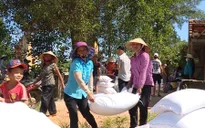 Bình Định hỗ trợ 45kg gạo/sào cho người dân có ruộng bị bỏ hoang