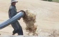Phú Yên yêu cầu kiểm tra việc ồ ạt hút cát sông Ba