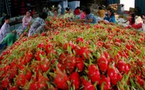 Xuất khẩu nông - lâm - thủy sản cả nước tăng trưởng tốt