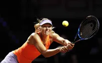 Vòng 1 Stuttgart mở rộng 2017: Sharapova trở lại ấn tượng