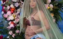 Beyonce mang thai đôi