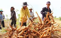 Ninh Thuận: Hỗ trợ đất ở, đất sản xuất cho hộ dân tộc thiểu số