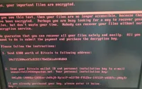 Cảnh báo khẩn về mã độc tống tiền Petya (Petrwrap)