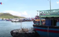 Quyết liệt ngăn chặn khai thác hải sản trái phép