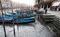 Thành phố "nổi" Venice, Italy dần khô cạn trầm trọng