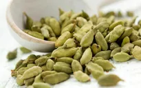 Làm thế nào để tránh say tàu xe khi đi du lịch
