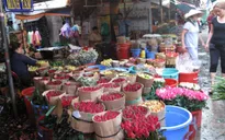 Chợ hoa lớn nhất TP.HCM nhộn nhịp ngày 8/3