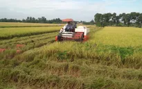 Ra mắt Cục Chế biến và Phát triển thị trường nông sản