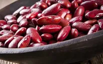 Lợi ích tuyệt vời từ đậu đỏ