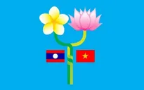 Laos, Vietnam peace committees enhance links