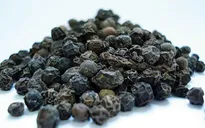 Hạt tiêu đen giúp bạn giảm cân kỳ diệu như thế nào?