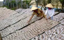 Mặn mòi làng hải sản khô xứ biển Trần Đề
