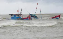 Cứu nạn thành công 8 ngư dân Bình Định gặp nạn trên biển