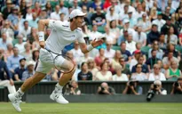 Murray quên cả đau đớn để thắng trận mở màn Wimbledon 2017