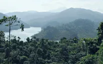 Ký cam kết bảo vệ rừng vùng biên Việt Nam - Lào
