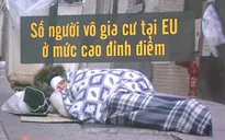 Khách sạn 3 sao dành cho người vô gia cư tại Brussels, Bỉ