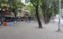 Hà Nội: Mở đợt kiểm tra, xử lý vi phạm về trật tự đô thị, trật tự giao thông