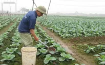 Tháng Hành động về An toàn vệ sinh lao động sẽ diễn ra từ 1 - 31/5