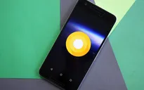 Google sẽ trình làng Android O vào ngày 21/8 vì lý do không thế tin nổi