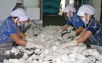Dự án chế biến nông sản có thể được hỗ trợ 70% kinh phí