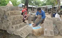 Người dân ĐBSCL phấn khởi chuẩn bị... đón lũ