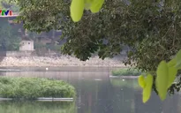 Ao hồ bị san lấp góp phần tăng ngập úng