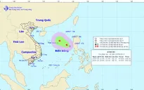 Chủ động ứng phó với áp thấp nhiệt đới