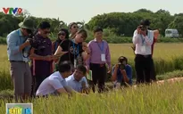 Cơ hội tăng cường hợp tác nông nghiệp trong khối APEC