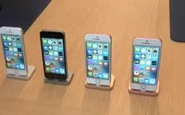 Apple tiếp tục bị Australia kiện với cáo buộc biến iPhone thành “cục gạch”