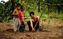 Mùa săn nhện làm… thức ăn ở Campuchia